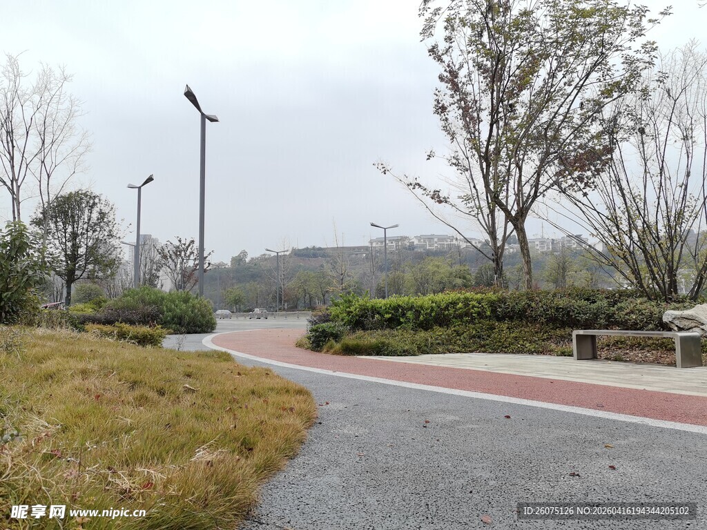 城市公园中的宁静小路