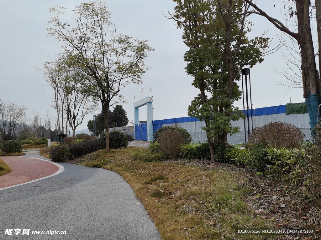 园区道路旁的绿植与建筑