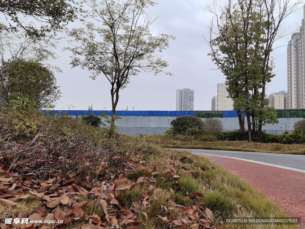 城市湖畔的多彩步道风景