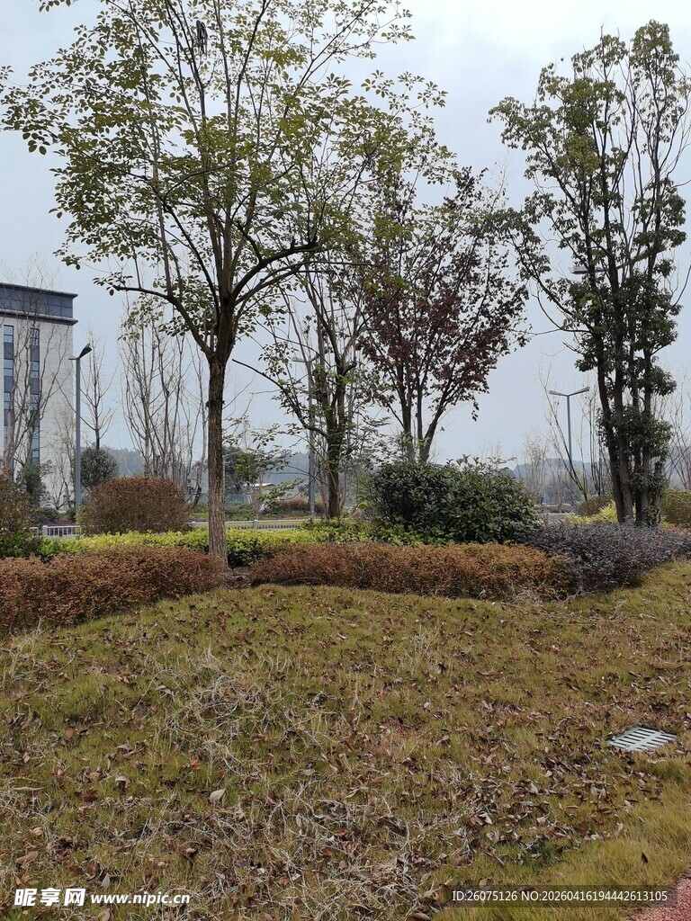 秋日公园景观