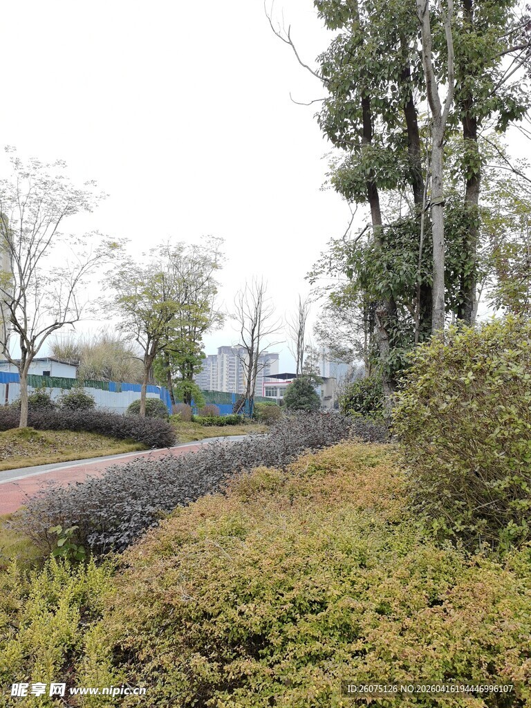 乡村铁路旁的自然景致