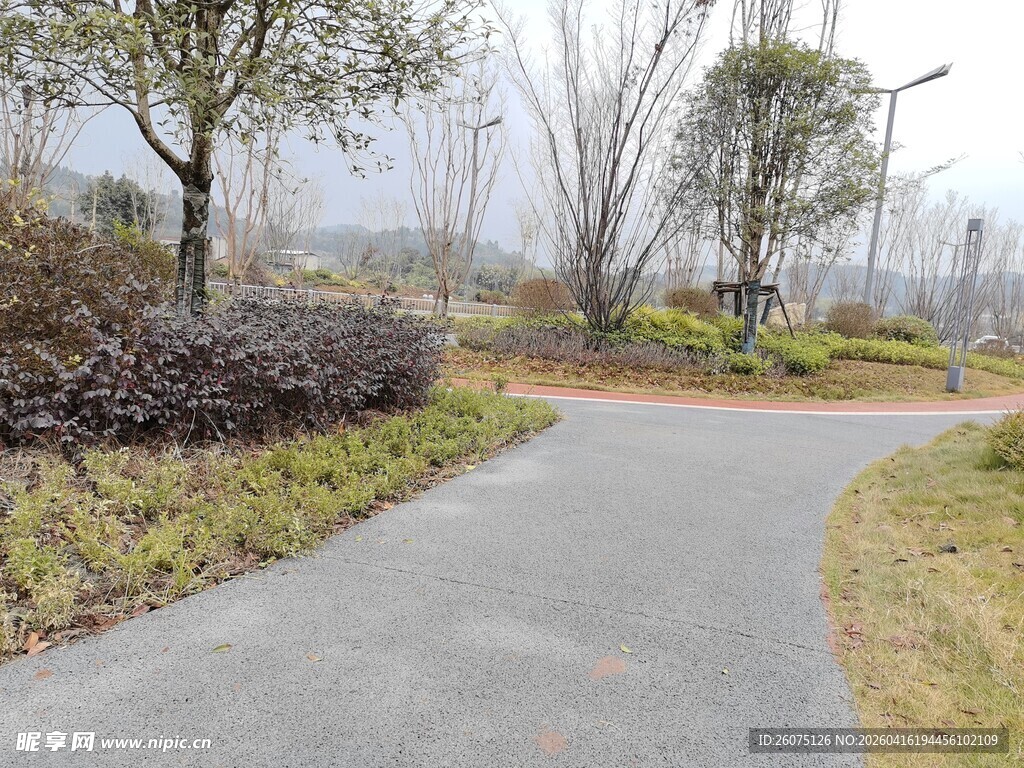 蜿蜒小路旁的园林景致