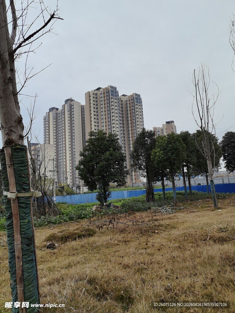 城郊荒地旁的现代高楼景观