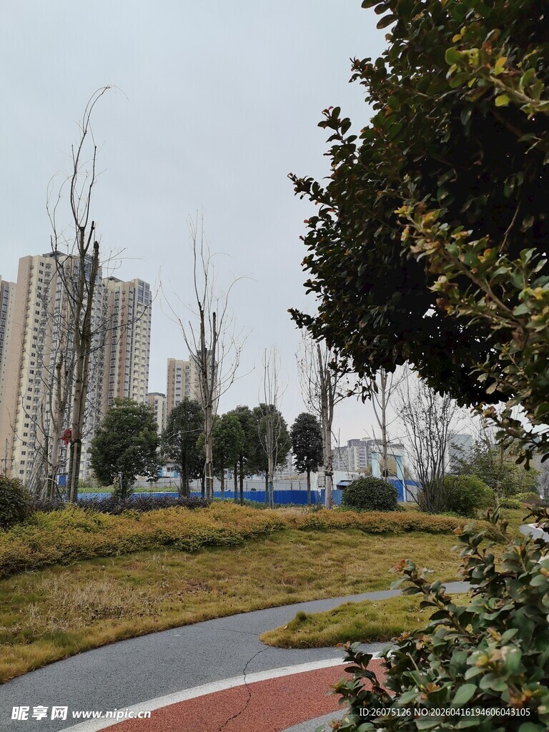城市中的绿意小径
