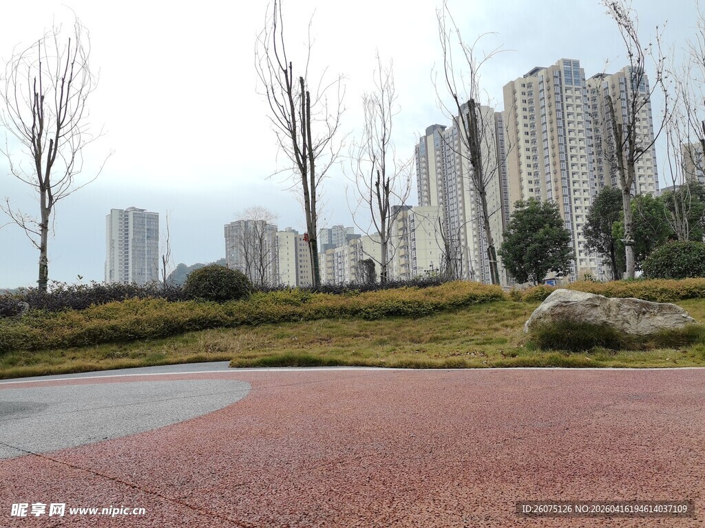 城市公园中的开阔景观