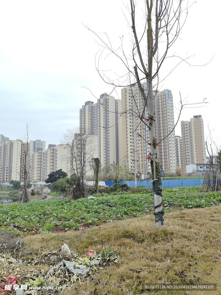 城郊景观高楼与荒地并存
