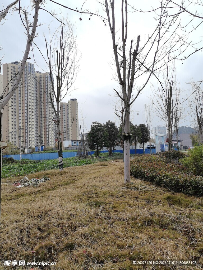 城郊冬日空旷草地与高楼