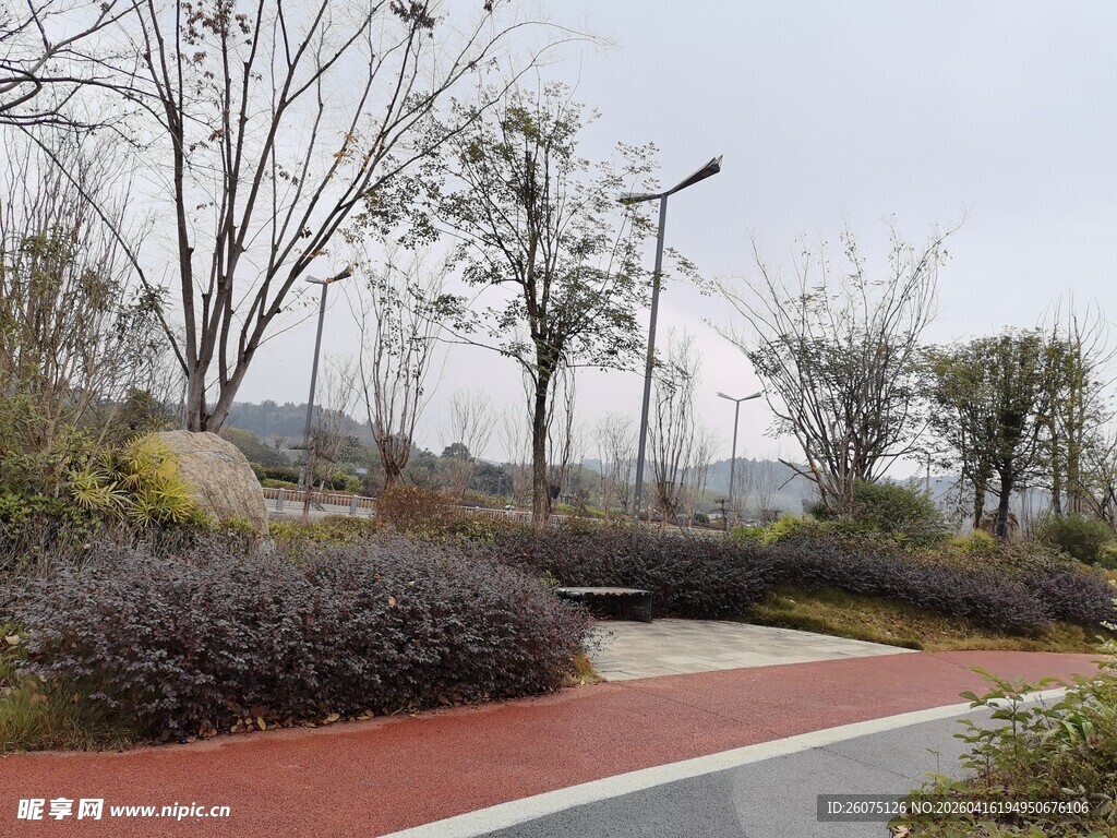城市公园中的静谧步道