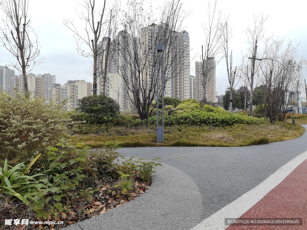 城市中的绿化道路景观