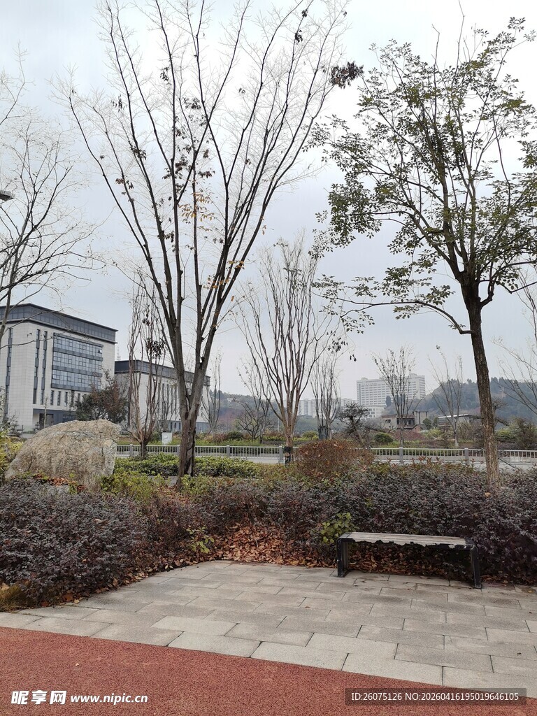 冬日校园户外景色