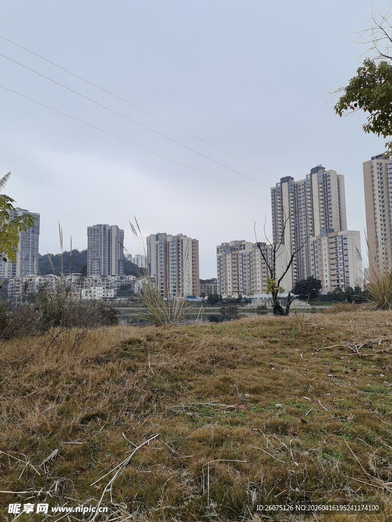 城郊草地与林立高楼