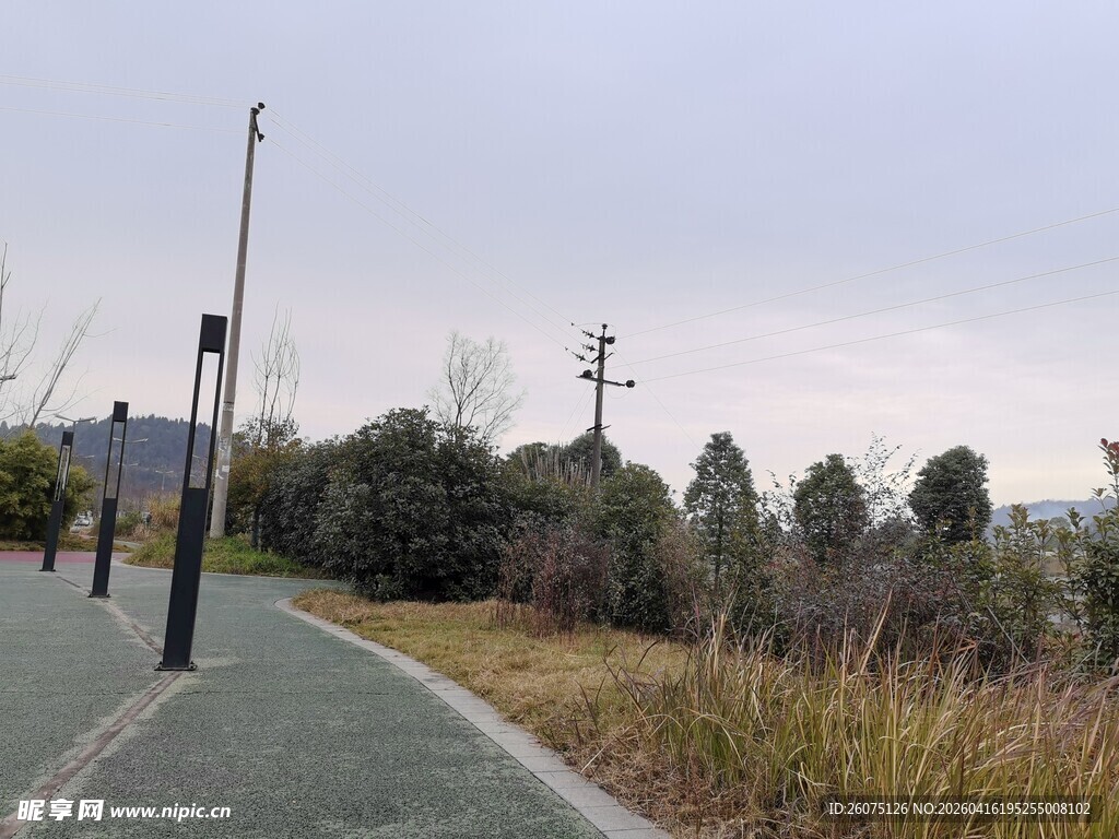 户外幽静的小路风景