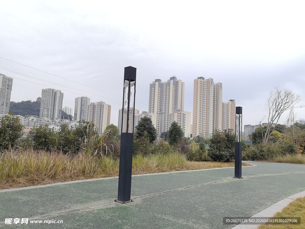 城市公园中的步道与高楼