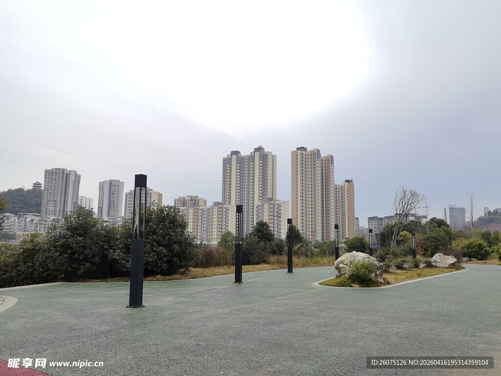 城市公园中的高楼景观