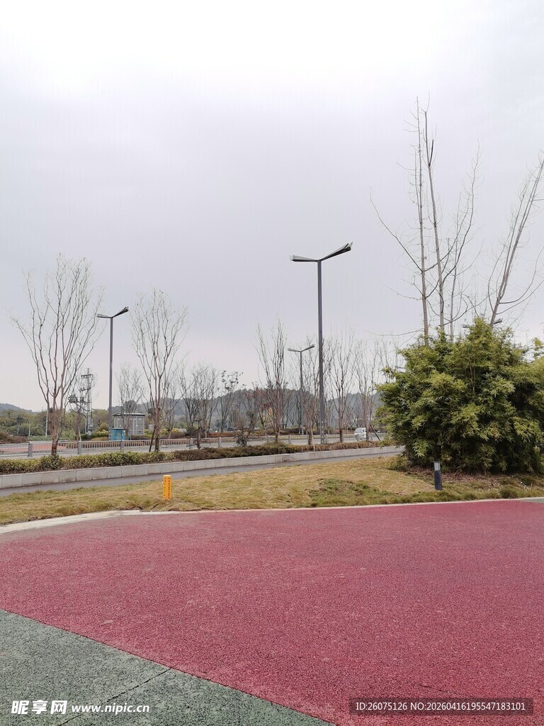 户外彩色地面与树木景观