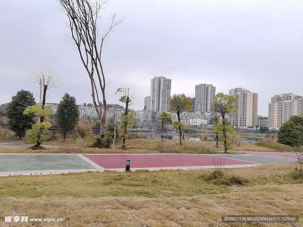 城市公园中的开阔休闲场景