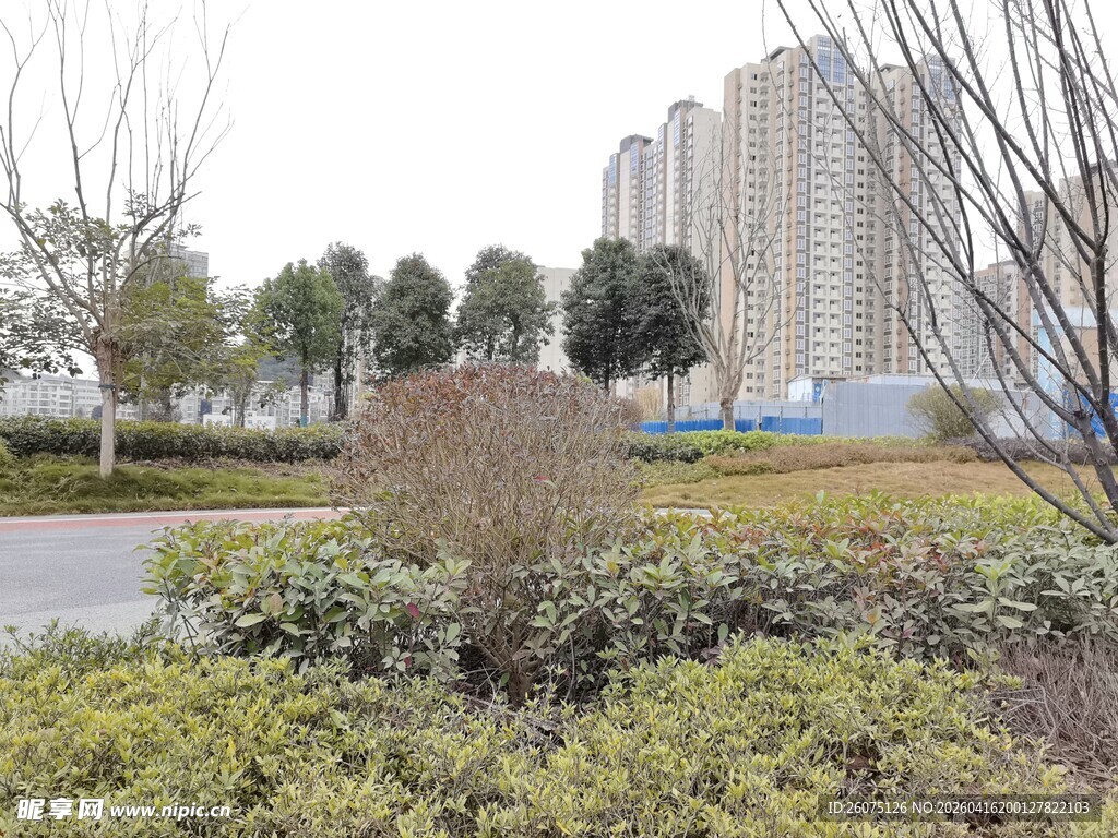 城市绿化带景观