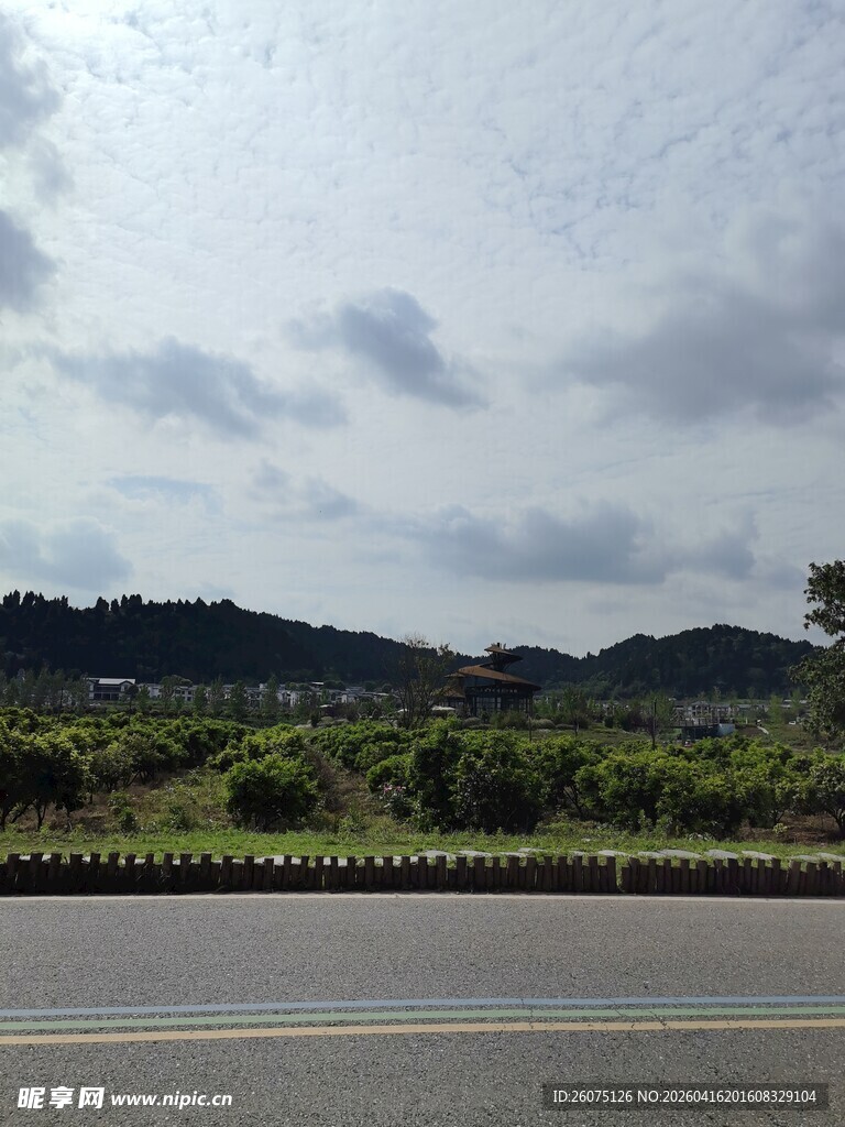 公路旁绿意盎然的自然景致