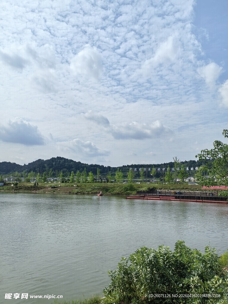 湖畔风光绿树环绕的宁静水域