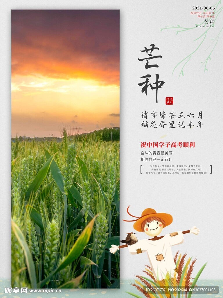 芒种 