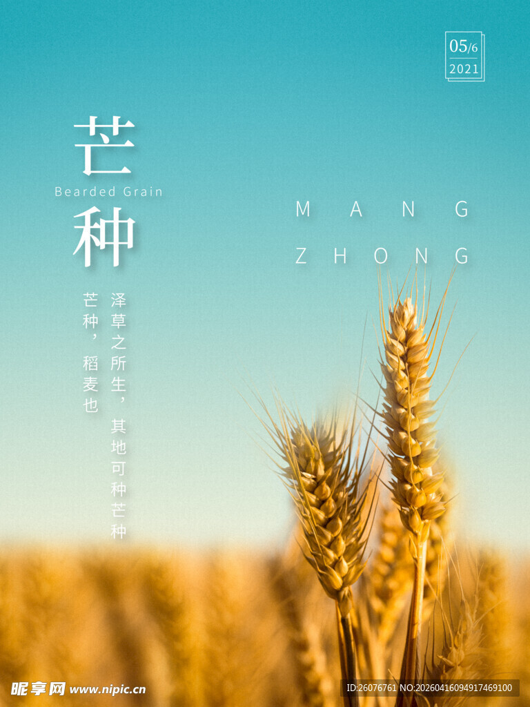 芒种 