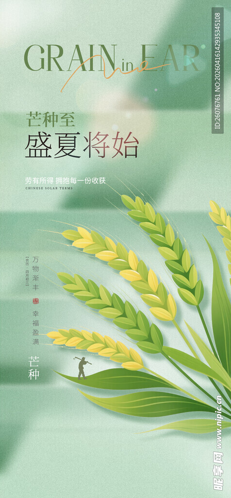 芒种 
