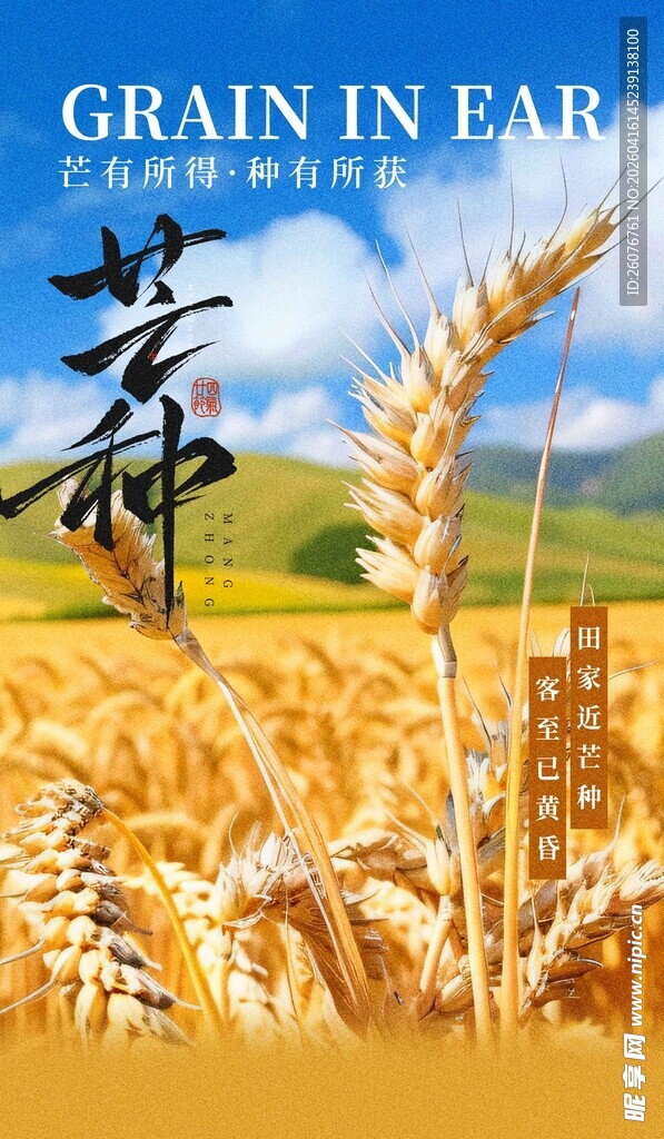 芒种 