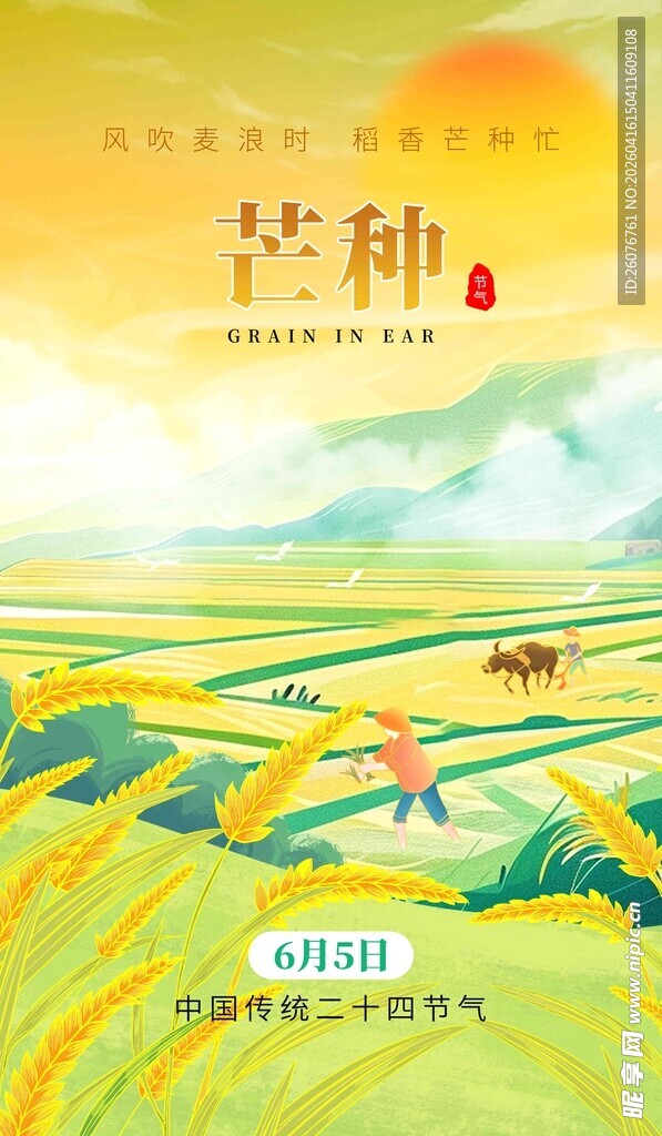 芒种 
