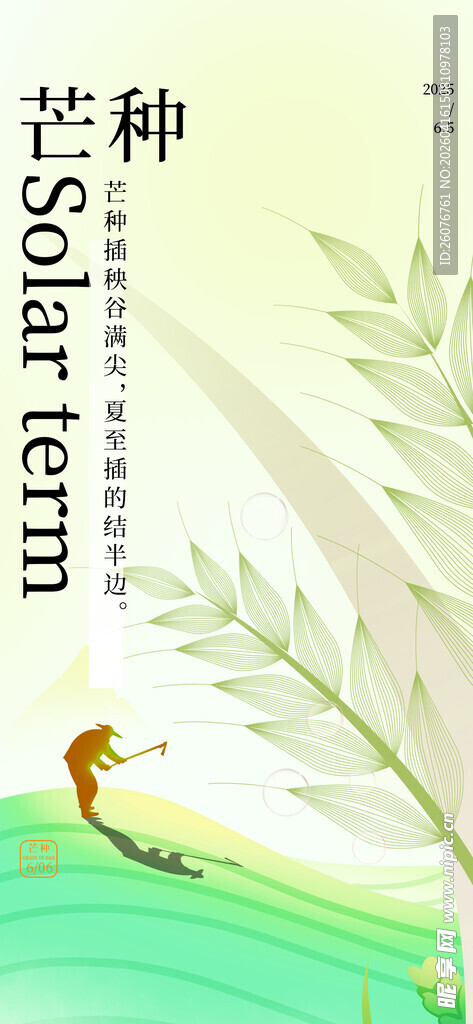 芒种 