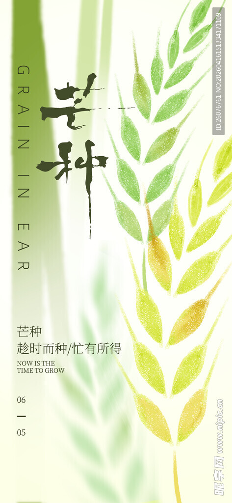 芒种 