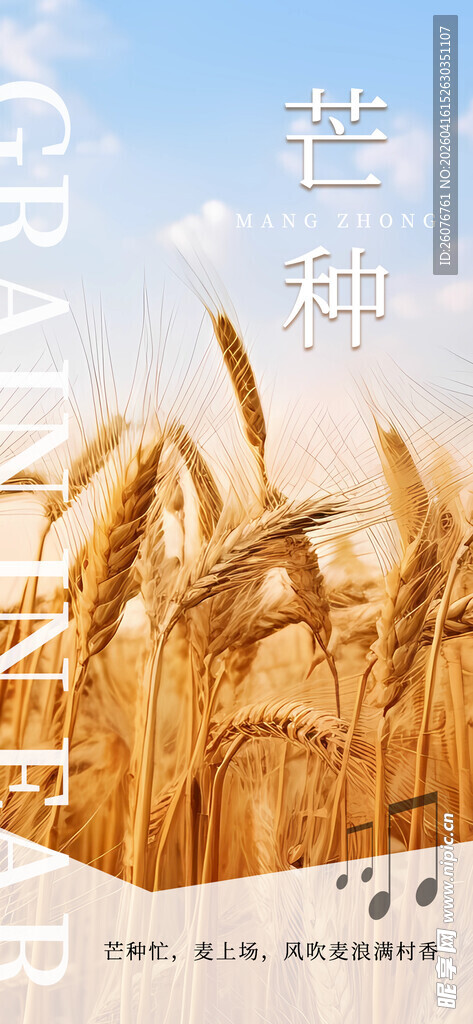 芒种 