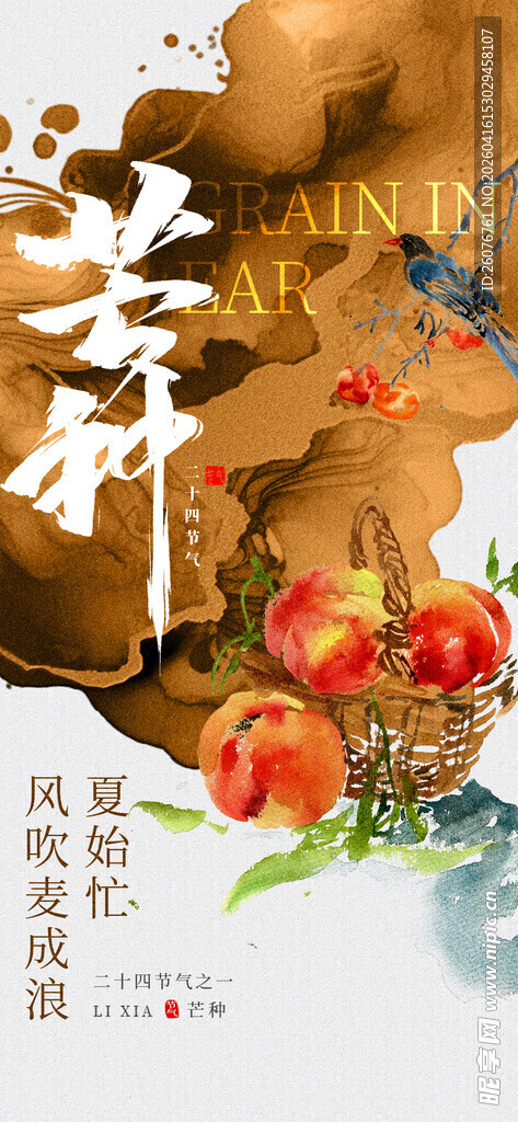 芒种 