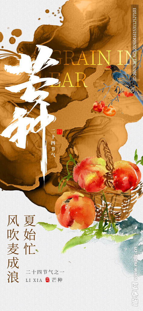 芒种 