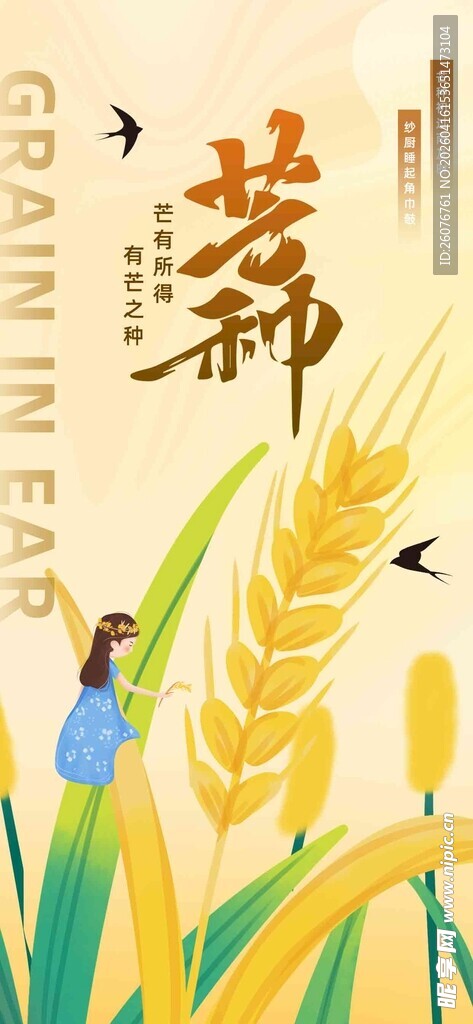 芒种 