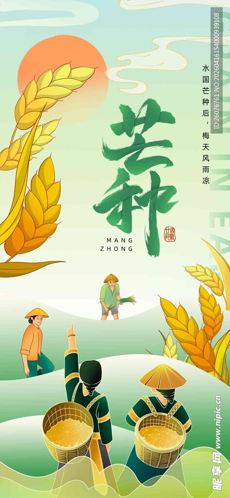 芒种 