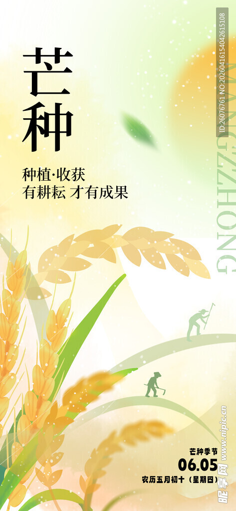 芒种