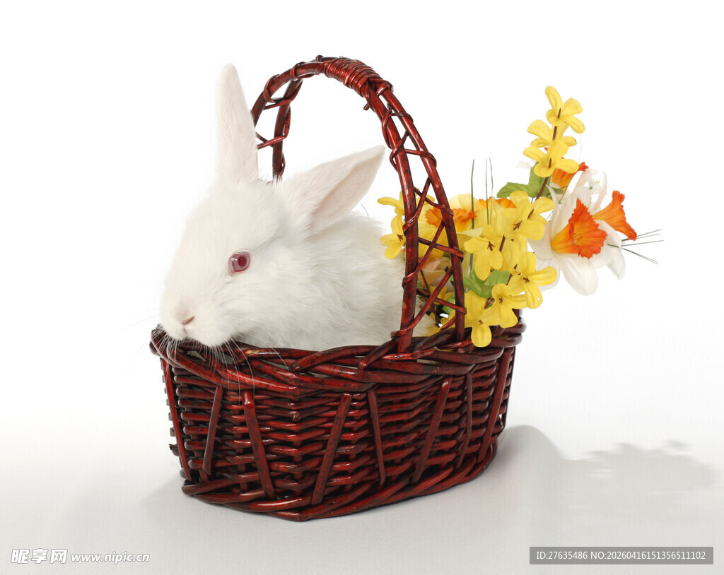 篮子里的白兔与鲜花