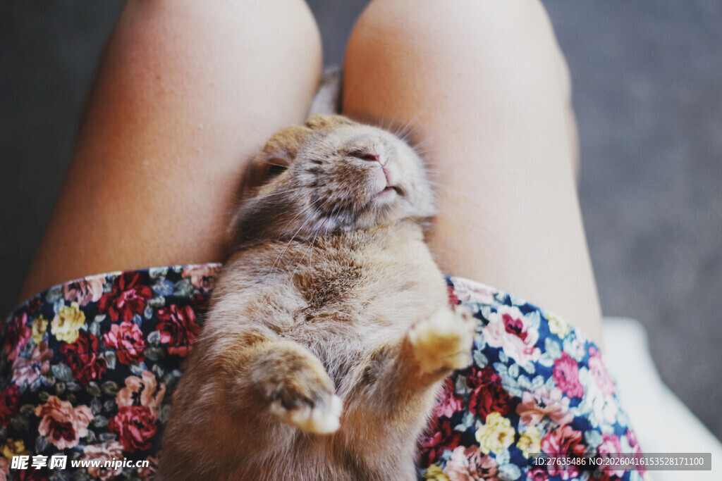 女孩腿上的可爱毛绒小兔