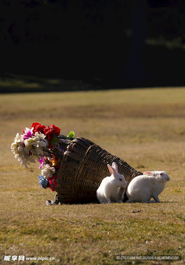 草地上的兔子与鲜花箩筐