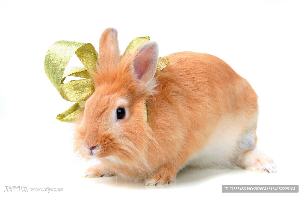 戴绿蝴蝶结的可爱兔子