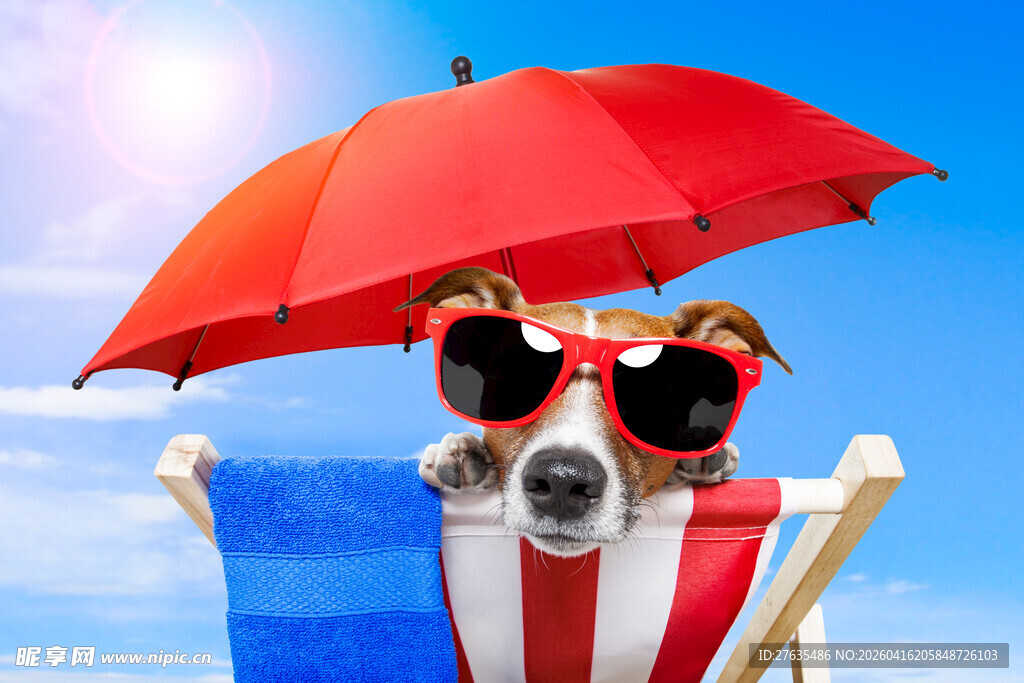 戴墨镜撑伞的可爱狗狗