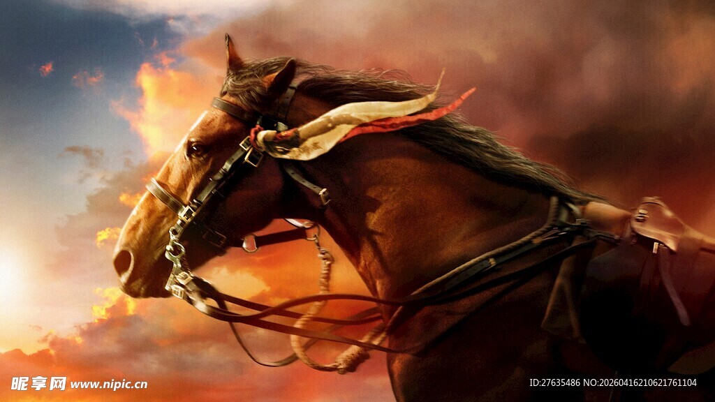 夕阳下奔腾的骏马