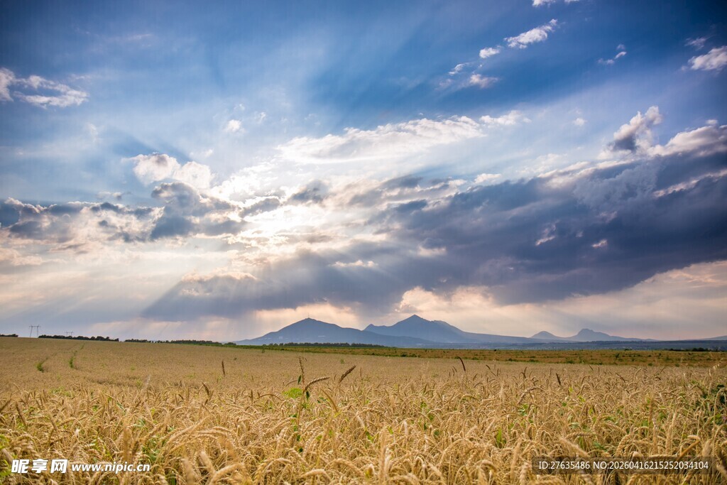 广袤田野与远处山峦景观