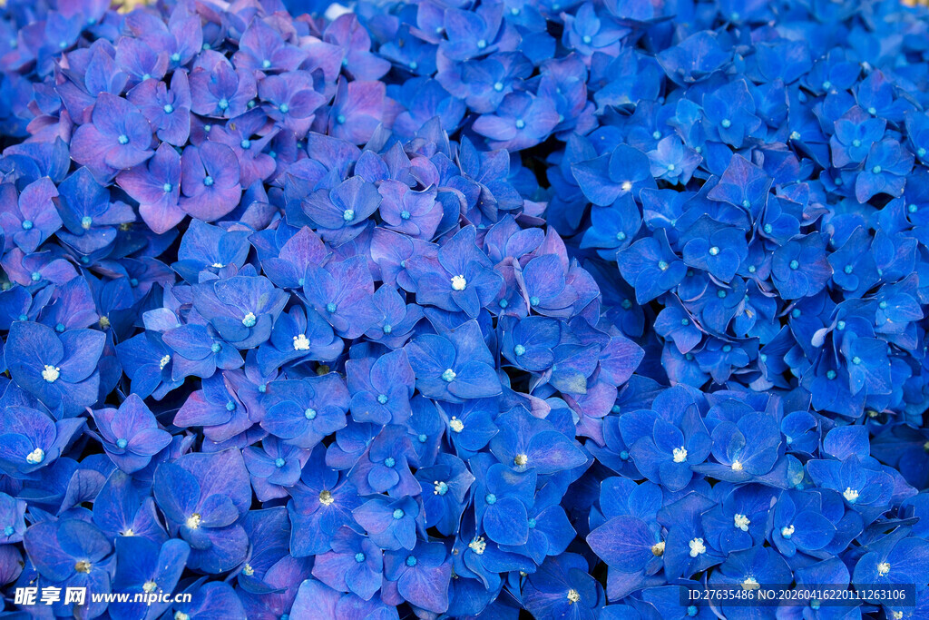 梦幻蓝紫色碎物纹理背景