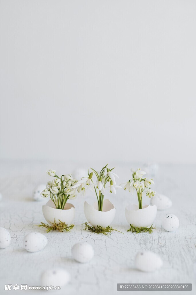 素雅盆栽与白色圆球装饰