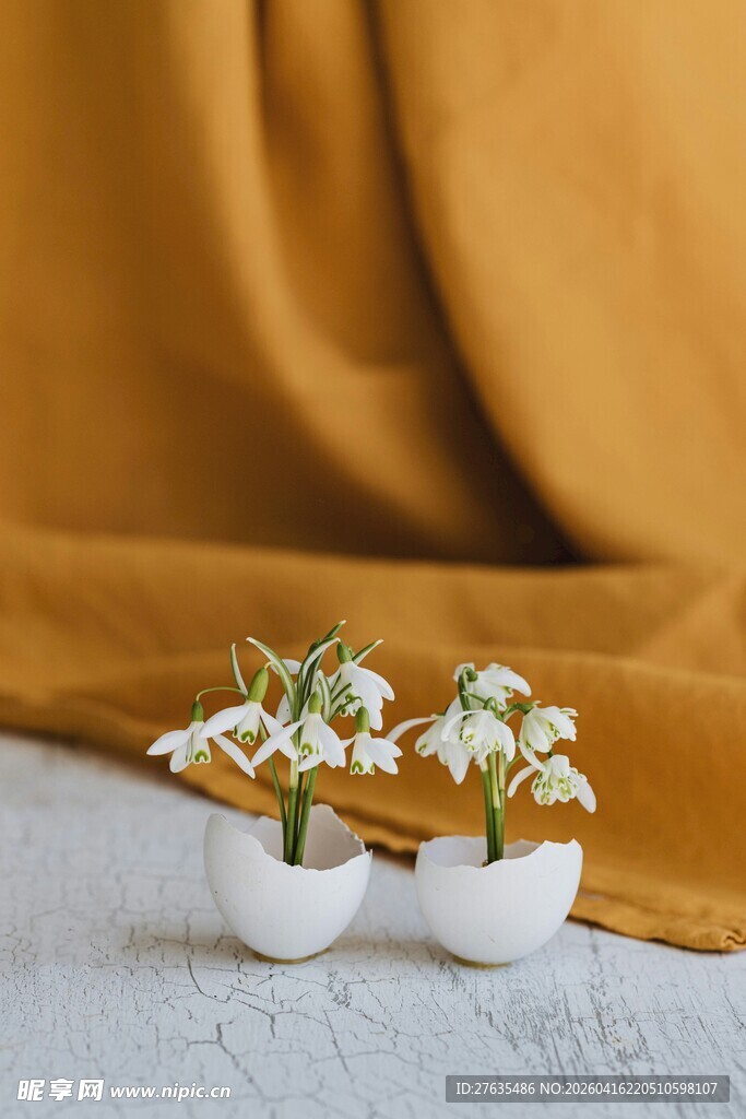 白色花盆中的清新小花