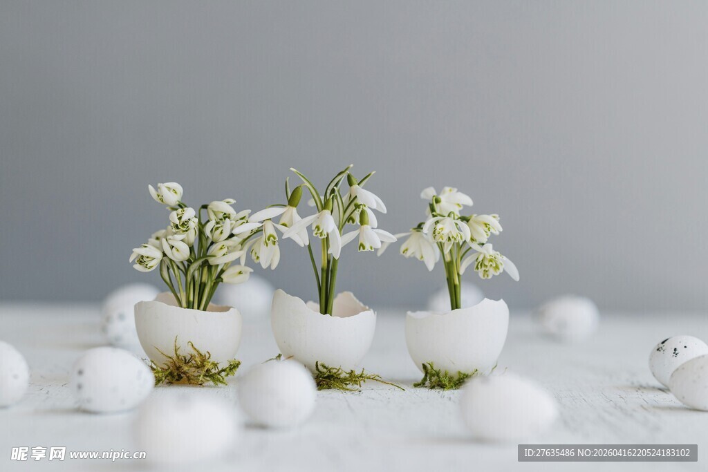 雪滴花置于蛋壳中装饰