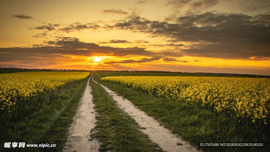 夕阳下的田野小路