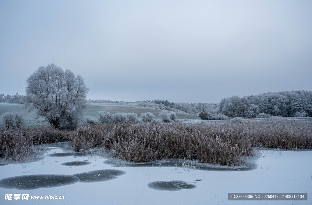 冬日雪景中的静谧原野