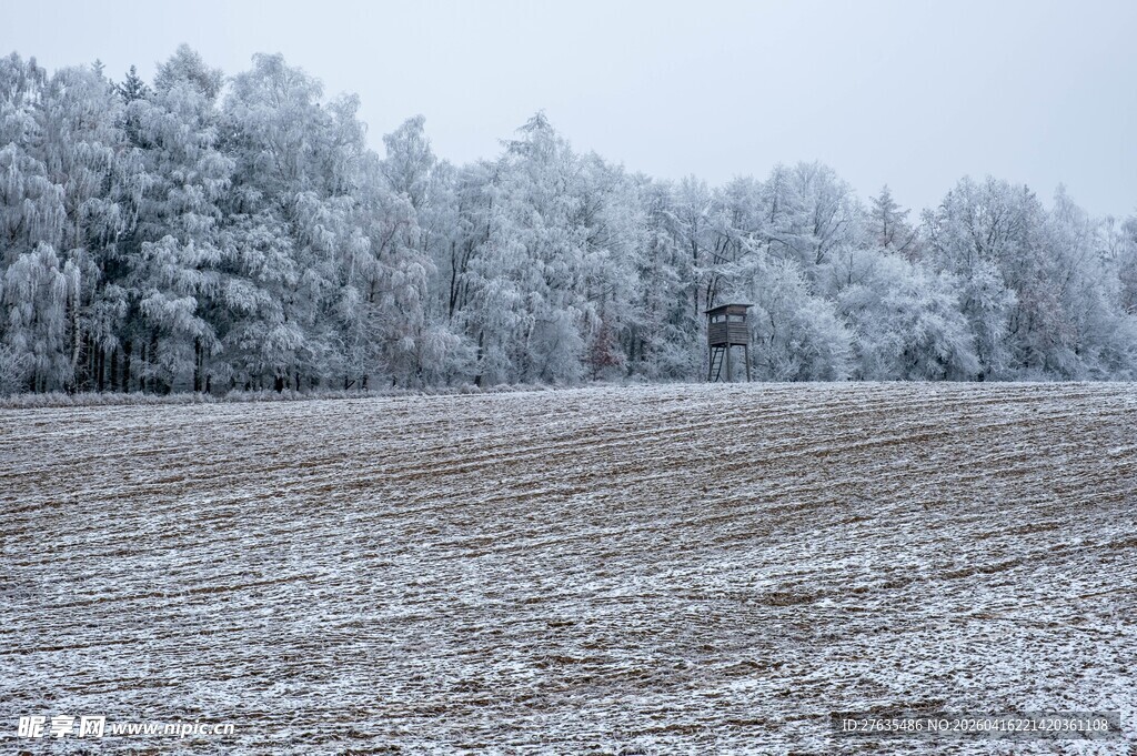 雪覆田野与树木景观